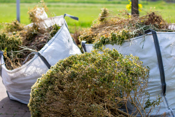 Best Moving and Downsizing Cleanouts  in Minden, NE