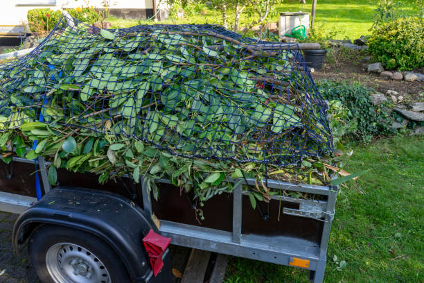 Best Residential Junk Removal  in Minden, NE
